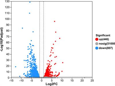 Transcriptome analysis in hepatopancreases reveals the response of domesticated common carp to a high-temperature environment in the agricultural heritage rice–fish system